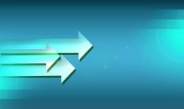 非安全黑客手册2006：揭秘网络安全攻防思维，合法学习黑客技术