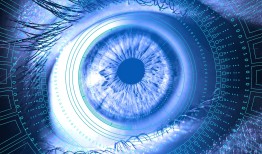 网络技术全解析：从基础到未来，掌握高效连接与安全防护的秘诀