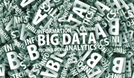 网络技术大神成长指南：从基础到实战的进阶之路，轻松解决复杂网络问题