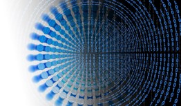 网络技术大神成长指南：从基础到实战的进阶之路，轻松解决复杂网络问题