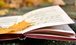 接单黑客联系方式全解析：避开法律陷阱与安全风险，找到合法解决方案