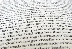 学黑客的最佳年龄：揭秘不同年龄段的学习优势与道德边界