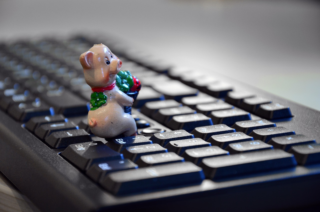 什么平台可以自己接单？2024年自由职业者高效接单平台推荐与避坑指南